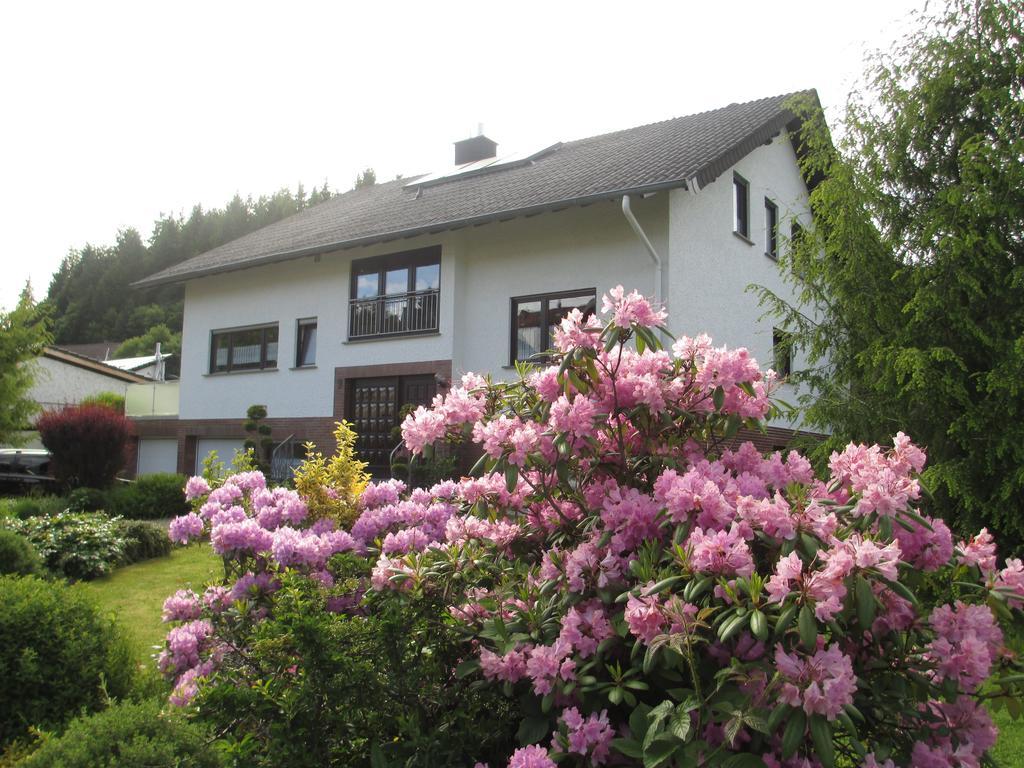 Ferienwohnung-Lind Wimbach Rom bilde